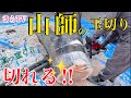 【薪の巻き】チェンソーで原木からのかんたん玉切り‼︎薪ストーブやキャンプの焚き火に‼︎注意てんやコツを紹介‼︎