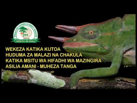 INVESTMENT OPPORTUNITIES AT AMANI FOREST NATURE RESERVE IN TANZANIA