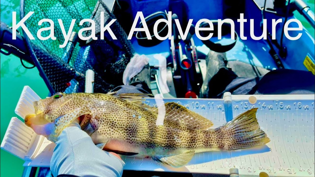 Dana Point Kayak Fishing Adventure YouTube