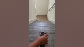 Satisfying Reverse Video With Skittles #shorts #reverse #satisfying #skittles #candy