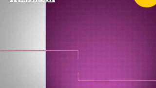 Test3.flv