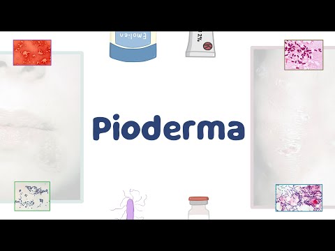 वीडियो: Pioderma