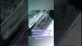 #경기도광주에바크리닝 #출장에바크리닝 #자동차에어컨냄새제거 #카이엔에어컨청소