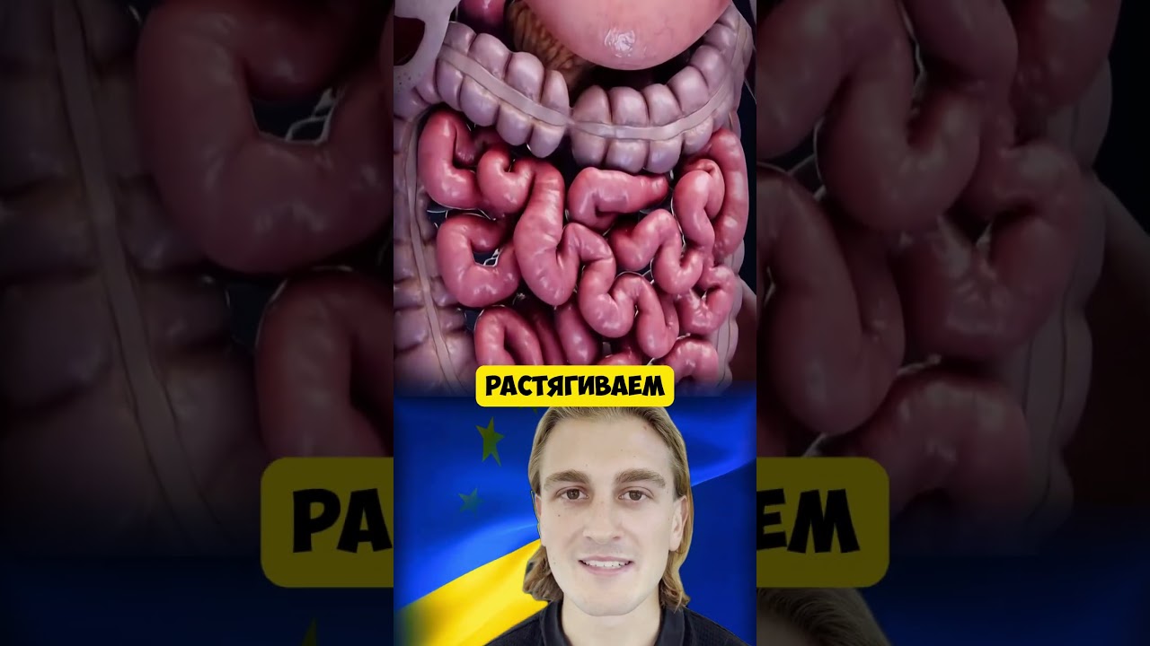 🥦Здоровый образ жизни: с чего начать?💪 