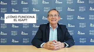 LICHE e IGAP: Plan Acción Mundial Intersectorial OMS Epilepsia y Otros Trastornos Neurológicos