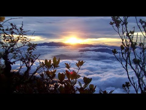 EKSPEDISI BURNI TELONG BENER MERIAH - 2624 MDPL - YouTube