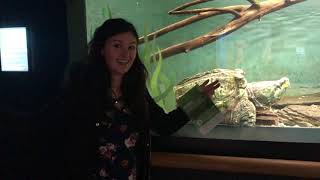 Touring the Greensboro Science Center