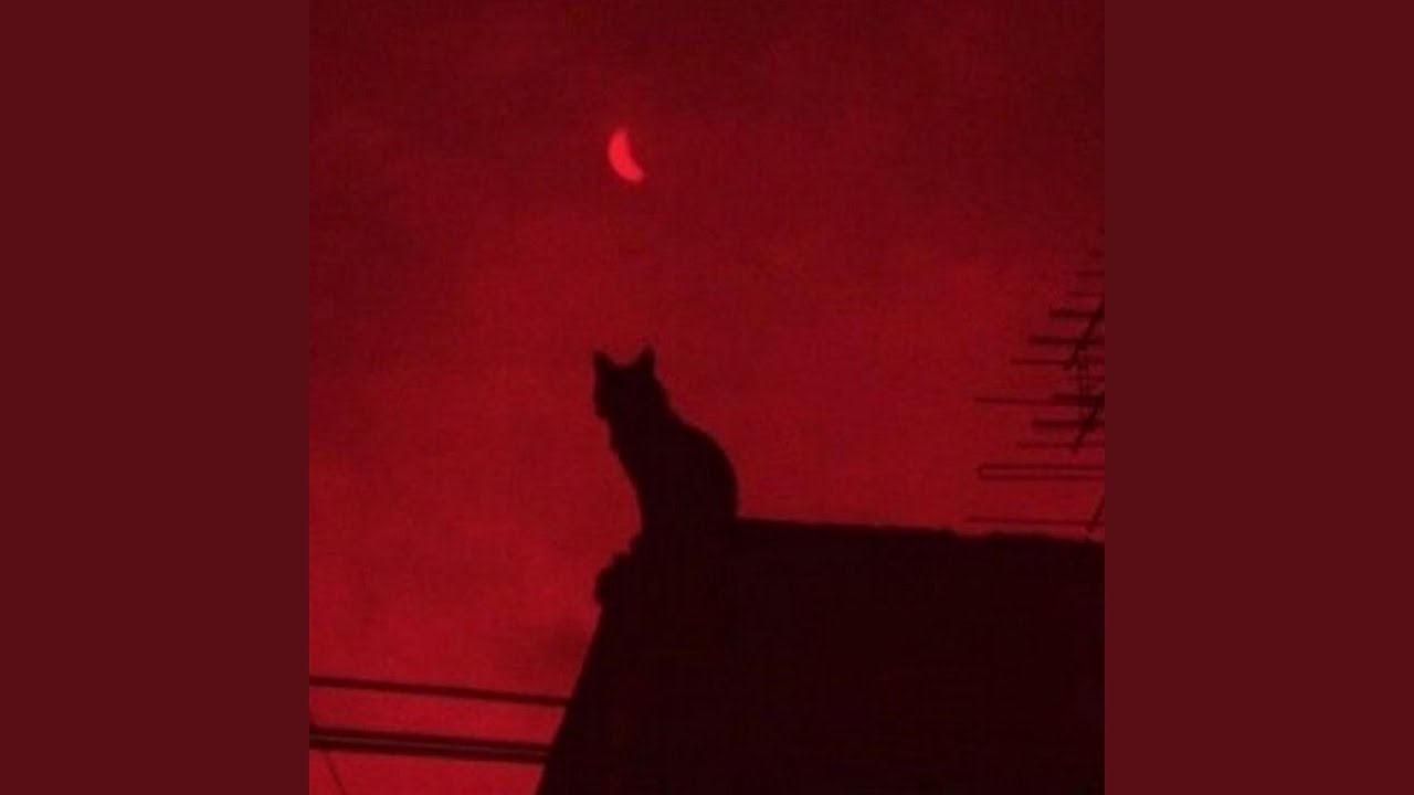 ᐸ/3 adlı videoyu YouTube'da izle ᐸ/3 adlı videoyu YouTube'da izle