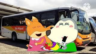 Caio Apache Vip 2025 São Miguel Transporte E Turismo Beautiful Bahia Ilhéus Bahia 2025