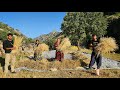 🏞️ Nomadic Life in the Cold River 🌊🐟 | Barley Harvest & Fishing