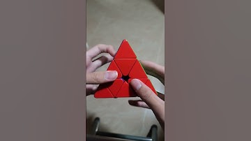 Moyu pyraminx maglev but it keeps changing between rs and weilong