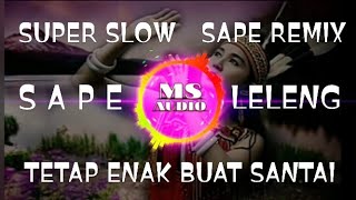 DJ REMIX SLOW SAPE LELENG ||  FULL BASS TERBARU 2021