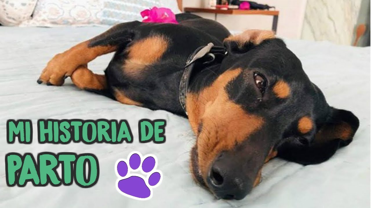 ¡LA HISTORIA DE PARTO DE KLER POLINESIA! YA NACIERON