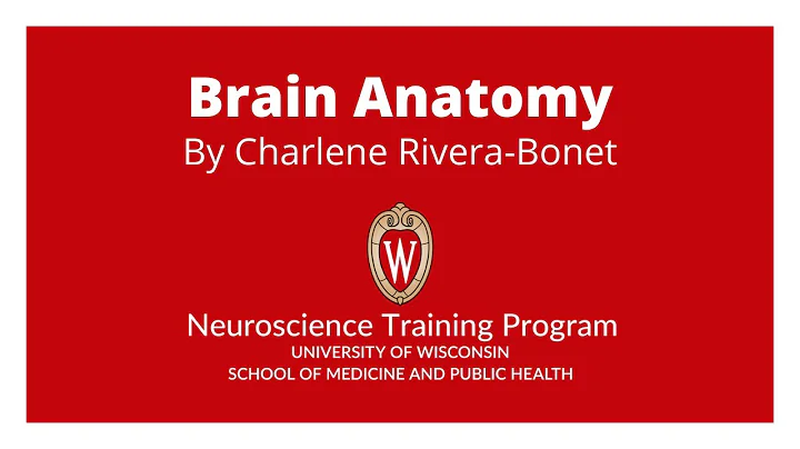 Learn Brain Anatomy with Charlene Rivera-Bonet!