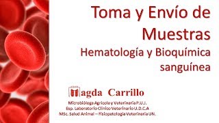 Toma Y Envo De Muestras Para Hematologa En Medicina Veterinaria
