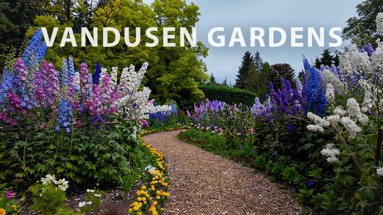 A Relaxing Walk Through Vancouver's Most Beautiful Garden