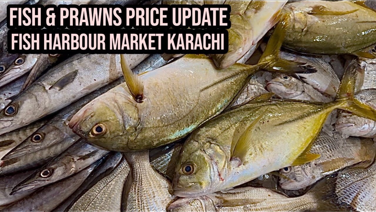 FISH & PRAWNS PRICE UPDATE KARACHI FISH HARBOUR MARKET February 1, 2026