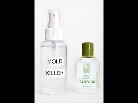11 DIY Natural Mold Spray Recipes That Work • New Life On A Homestead