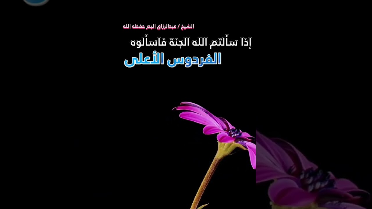 إذا سألتم الله الجنة فاسألوه الفردوس الأعلى [أجمل نصيحة 💯] || للشيخ عبدالرزاق البدر