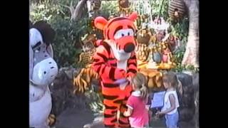 2007 March 7th Disneylandarial The Little Mermaid Tigger U0026 Eeyore