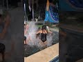 Son gets attacked by all the girls in the pool #shorts