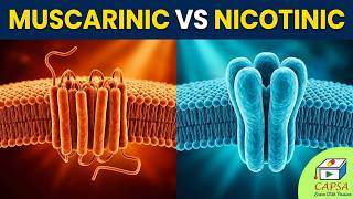 Cholinergic Receptors Explained Muscarinic M1-M5 Vs Nicotinic Nn, Nm
