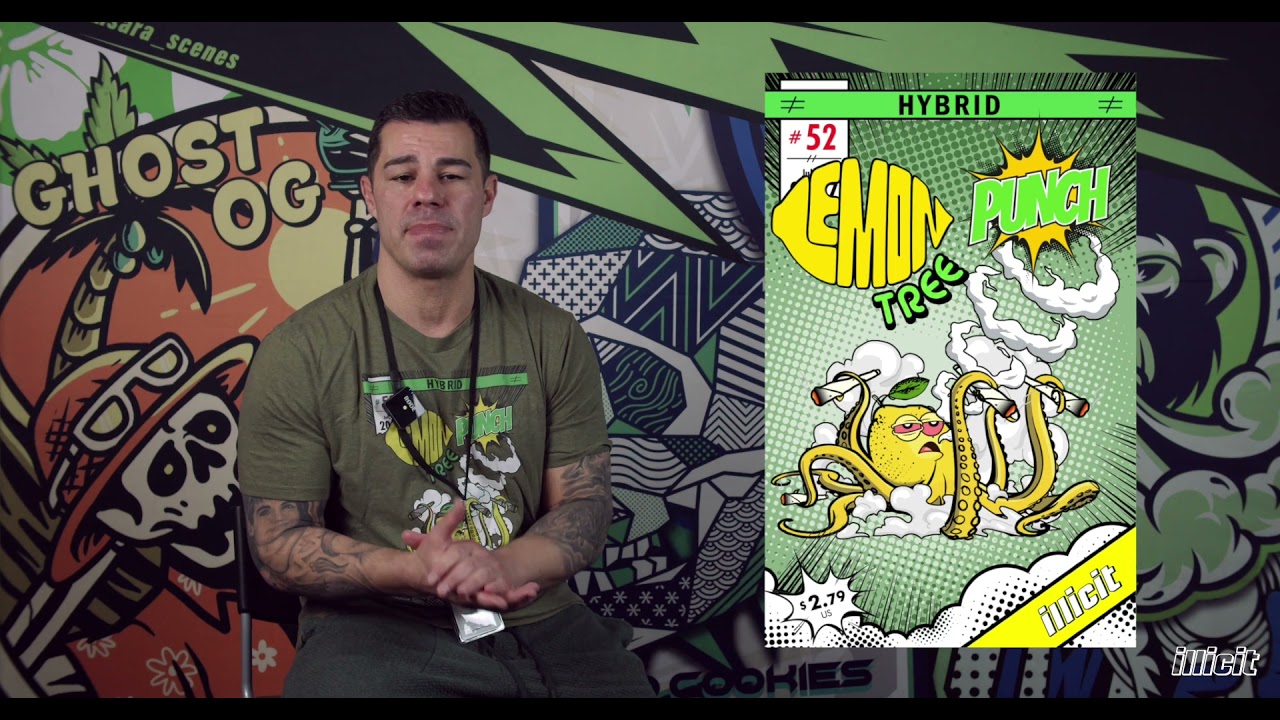 ILLICIT STRAIN EDUCATION: LEMON TREE PUNCH