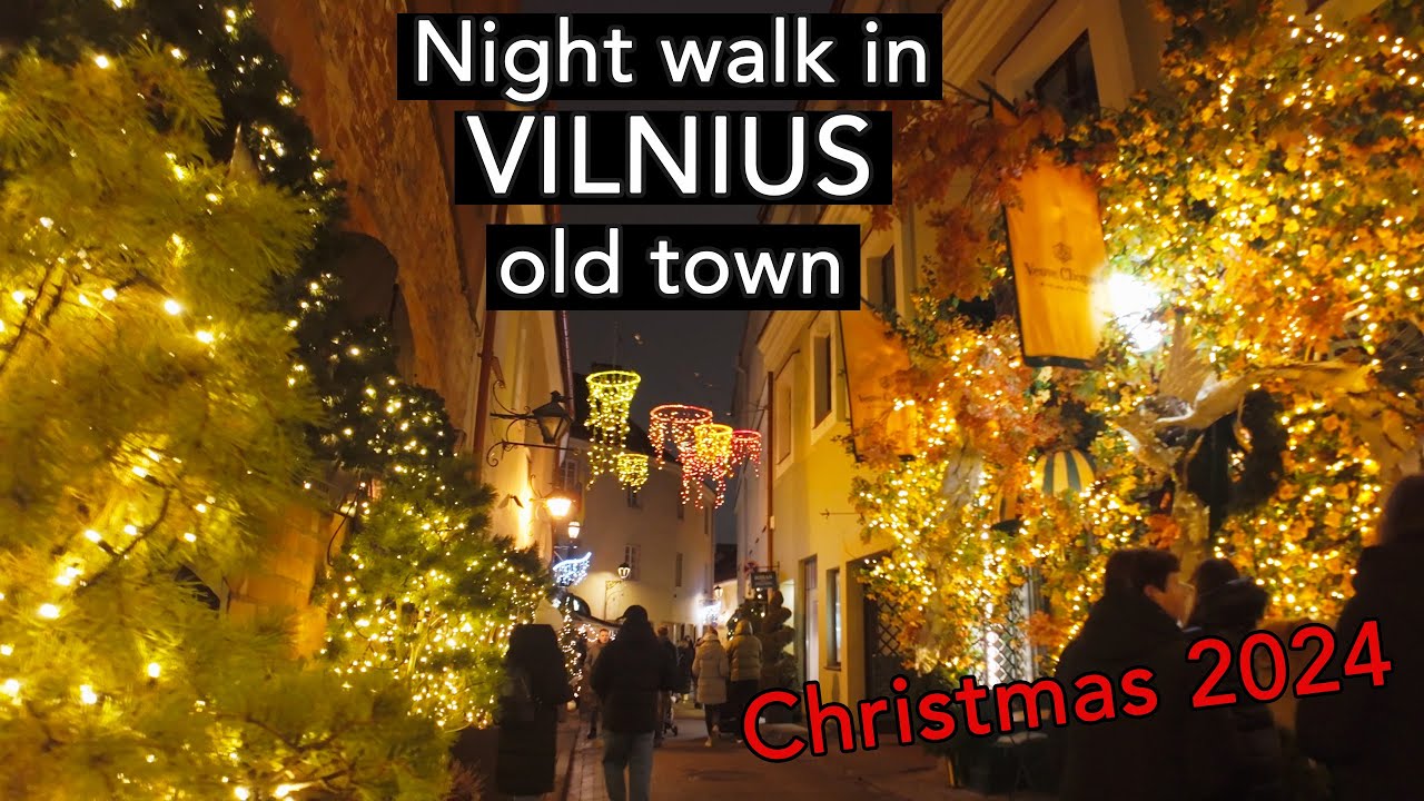 Watch Vilnius at night