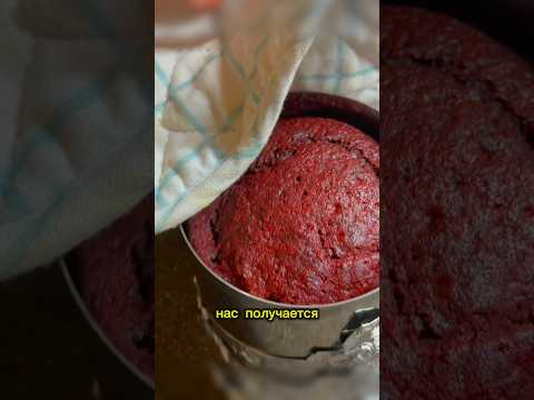 Готовим БЕНТО красный