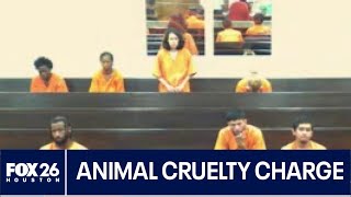 Deer Park woman charged with animal cruelty