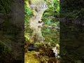 432Hz Love Frequency 💚 Healing Meditation for Stress Relief & Inner Peace #shorts