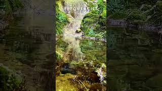 432Hz Love Frequency 💚 Healing Meditation for Stress Relief &amp; Inner Peace #shorts