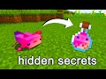 Testing Minecraft 1.17 SECRETS So You Don't Have To