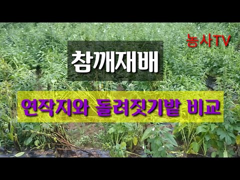 유튜브 미리보기