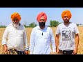 New wheat variety dbw 371 viral kheti new punjab farmer top shortshighlights