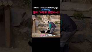 Obao: I told you to hurry up! 오바오님: 빨리 가자고 했잖아~!! #healing #panda #aibao #fubao #ruibao #huibao