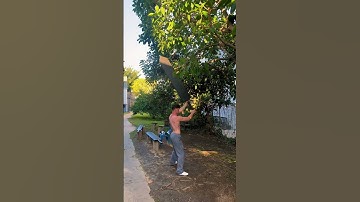 Day 40 of Dragonslayer training like Guts from Berserk anime #shorts