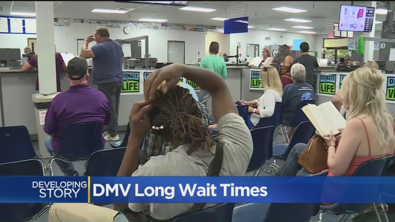 Lawmakers Grill DMV Director Over Long Wait Times YouTube
