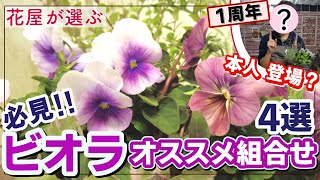 ハンドメイド ビオラ mqdefault.jpg