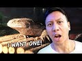 I Found My New Favourite Pet Store | Vlog #694