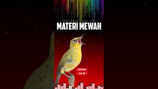 Download Lagu Masteran Pleci Mewah Materi Mantenan Gunung Panjang Sejalur MP3