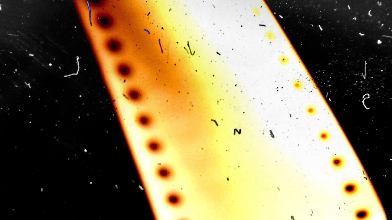 Old Film Effect Loop (18 Seconds) | Vintage Background | Free to Use