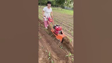 #Water and land dual-purpose rotary tiller #Rotary tillage weeding, ditching, grass cutting and