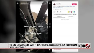 Police Arrest Teen Crime Spree Suspect Called Mafioso