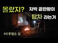 차박에는 탑차가 끝판왕이다. / 전국에 탑차, 택배 종사자 여러분들 힐링하세요~