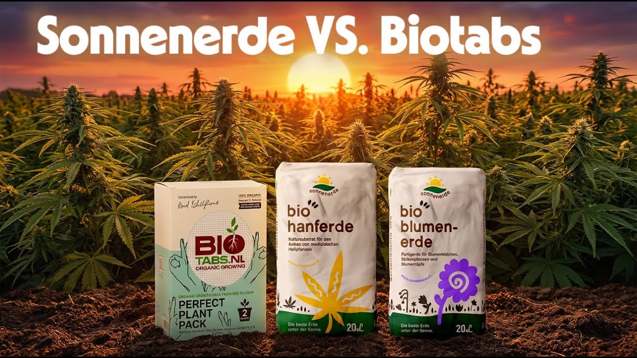 Sind Biotabs besser wie Sonnenerde?