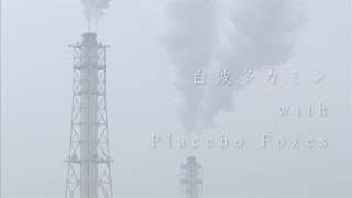 白波多カミン with Placebo Foxes - バタフライ