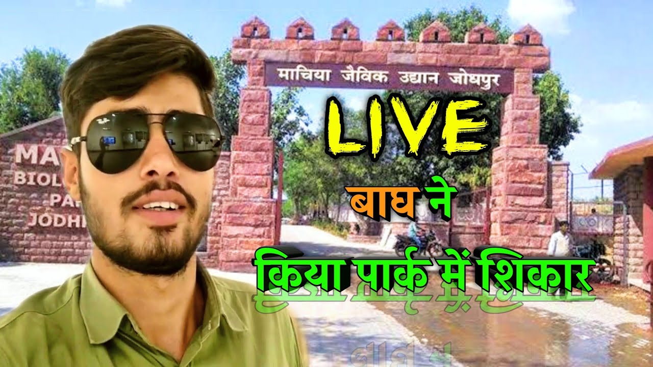 माचिया  पार्क जोधपुर  || 