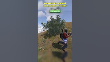 Когда с тяжелого старта наконец-то откинул кибу в РАСТ @C0BALTLAB‬ - лучший игровой проект Rust