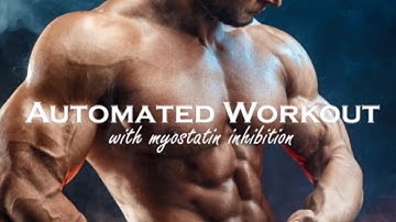 🏋️Automated Workout 🏋️‍♀️ (Morphic Field)